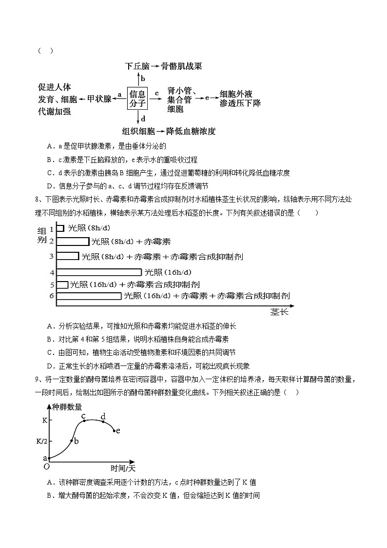 卷05-备战2024年高考生物临考压轴卷（江西卷）（原卷版）第3页