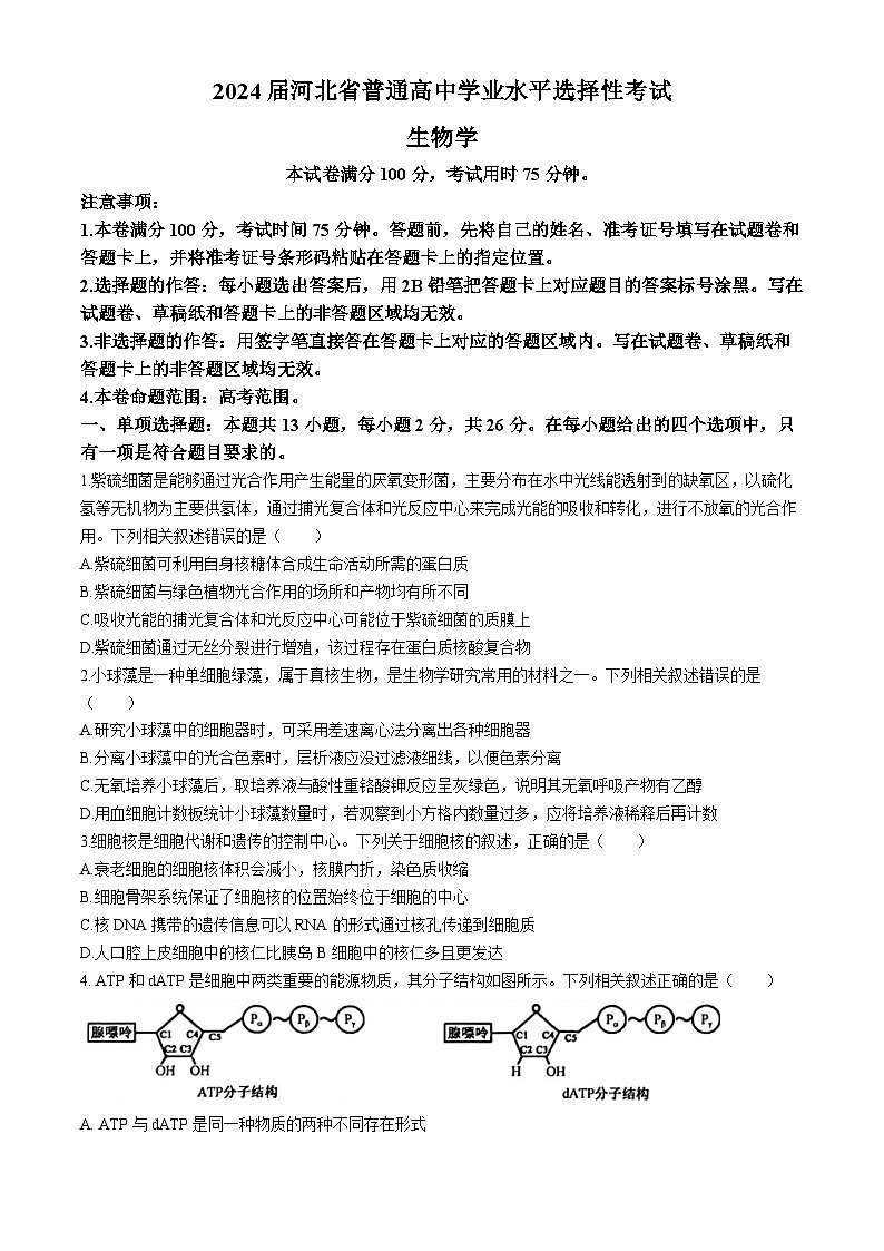 河北省部分高中2024届高三下学期三模生物试题（Word版附解析）第1页