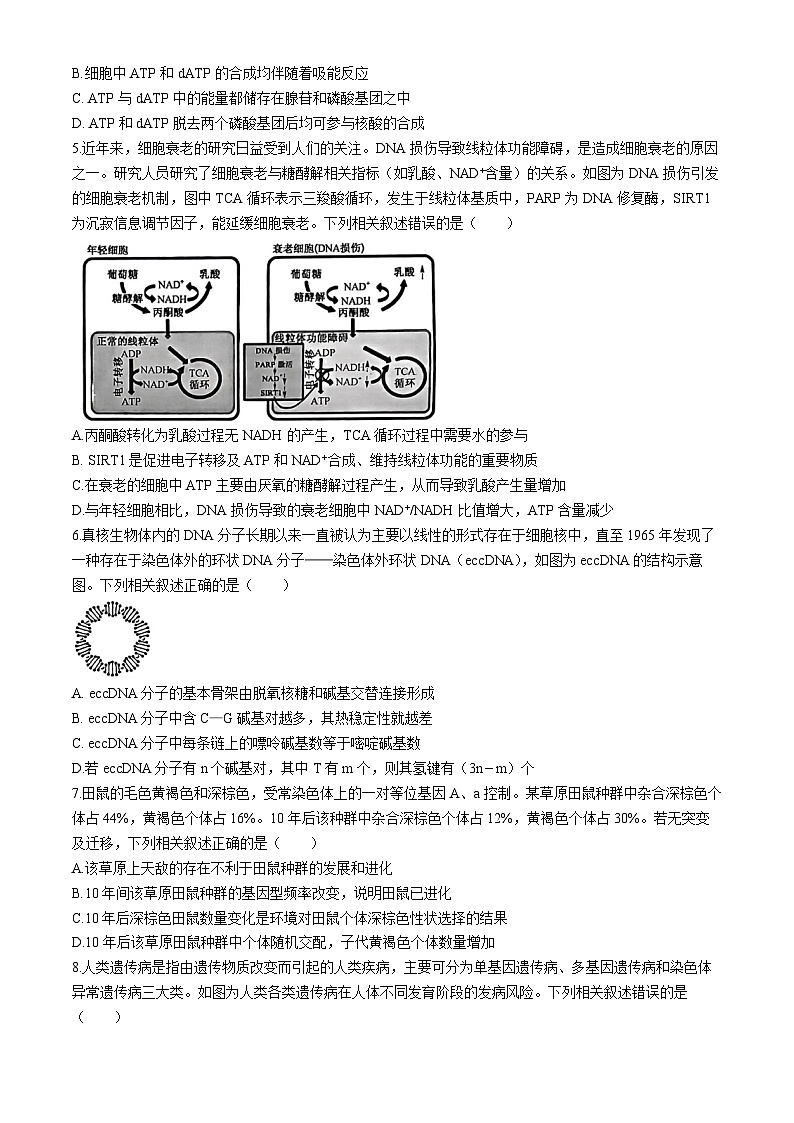 河北省部分高中2024届高三下学期三模生物试题（Word版附解析）第2页
