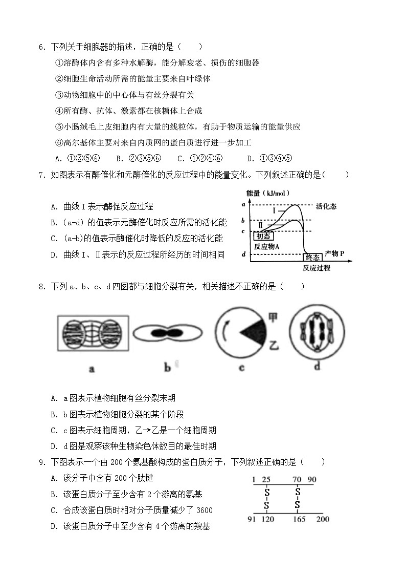 云南省开远市第一中学2023-2024学年高一下学期期中考试生物试卷（Word版附答案）02