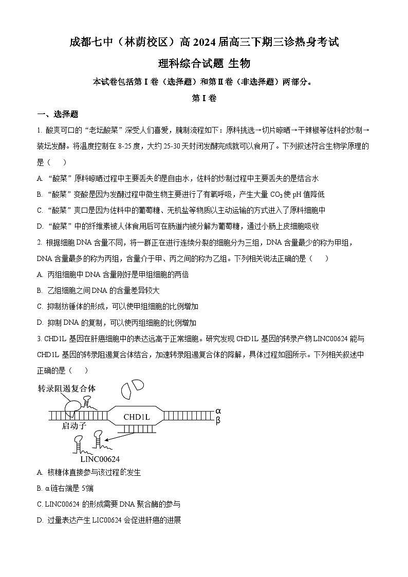 四川省成都市第七中学（林荫校区）2024届高三下学期三诊生物试卷（Word版附解析）01