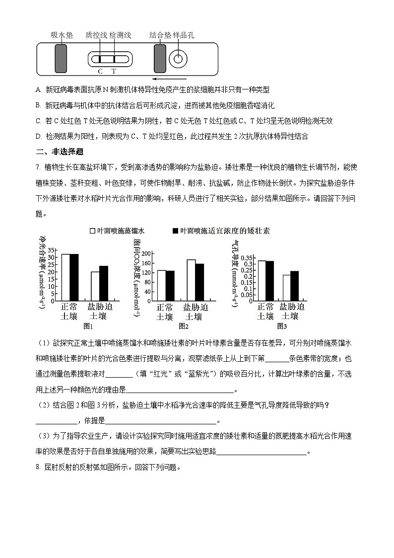 四川省成都市第七中学（林荫校区）2024届高三下学期三诊生物试卷（Word版附解析）03