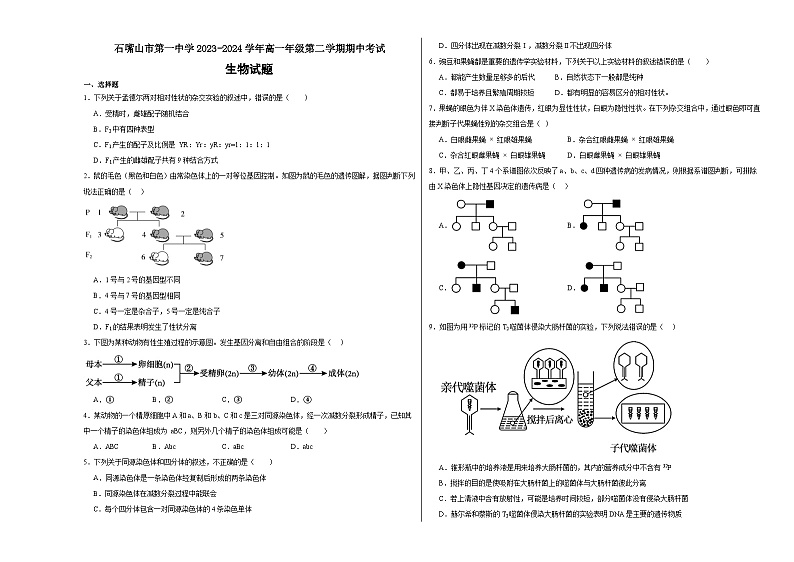 宁夏石嘴山市第一中学2023-2024学年高一下学期期中考试生物试卷（Word版附答案）第1页