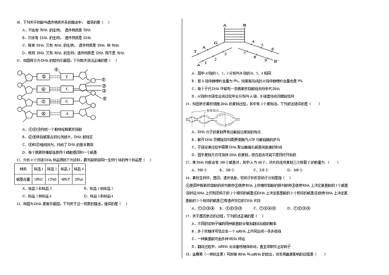 宁夏石嘴山市第一中学2023-2024学年高一下学期期中考试生物试卷（Word版附答案）第2页