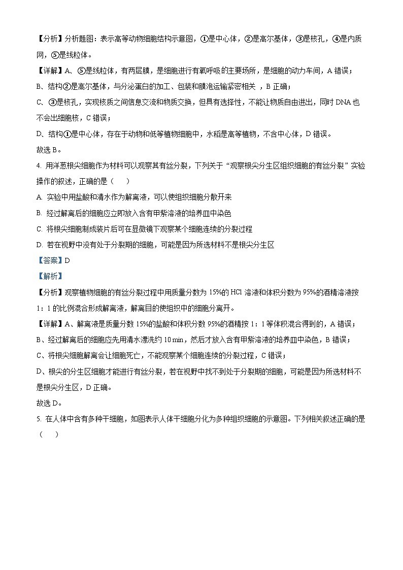 安徽省滁州市2023-2024学年高一下学期期中测试-生物试题 Word版含解析第3页