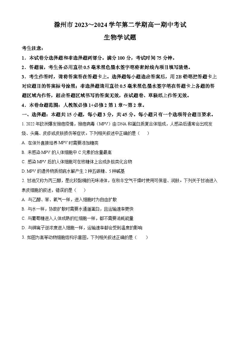 安徽省滁州市2023-2024学年高一下学期期中测试-生物试题 Word版无答案第1页