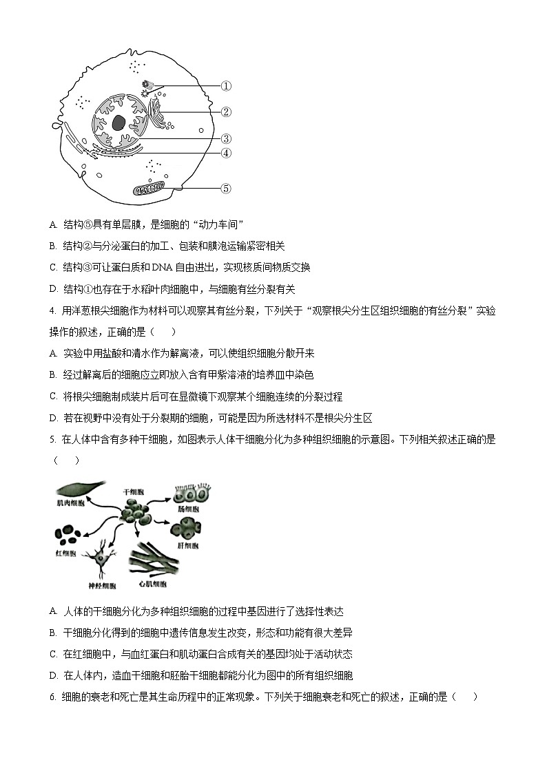 安徽省滁州市2023-2024学年高一下学期期中测试-生物试题 Word版无答案第2页