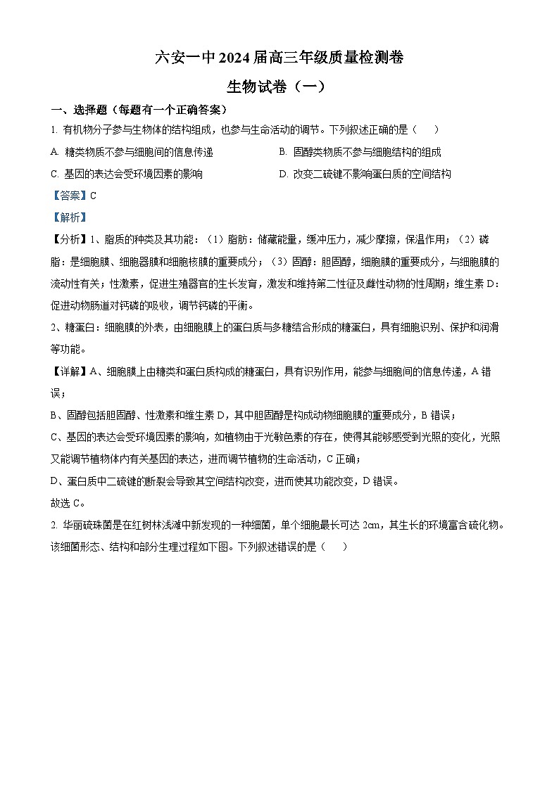 安徽省六安市第一中学2024届高三下学期质量检测（一）生物试卷（Word版附解析）01