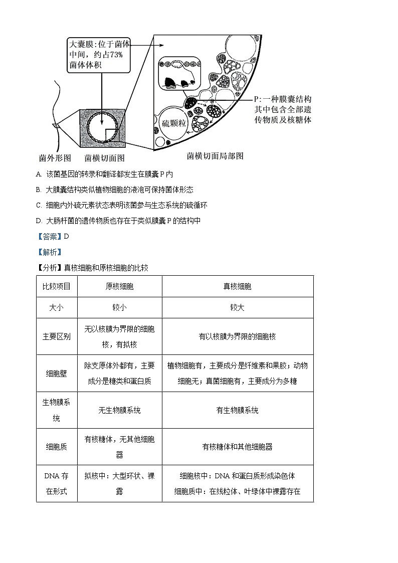 安徽省六安市第一中学2024届高三下学期质量检测（一）生物试卷（Word版附解析）02
