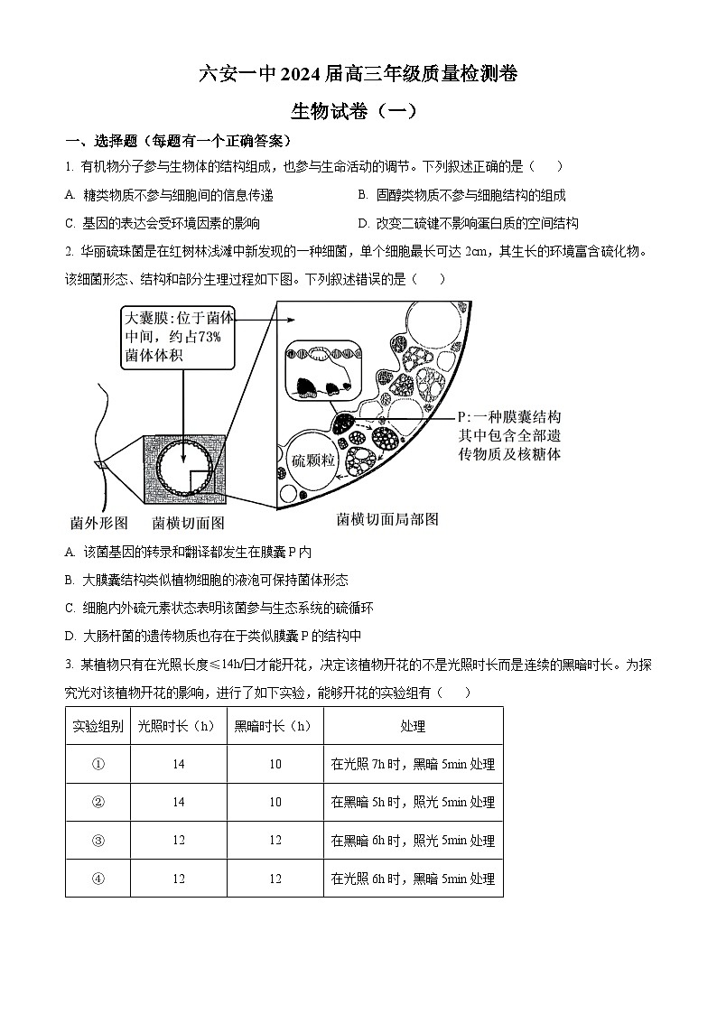 安徽省六安市第一中学2024届高三下学期质量检测（一）生物试卷（Word版附解析）01