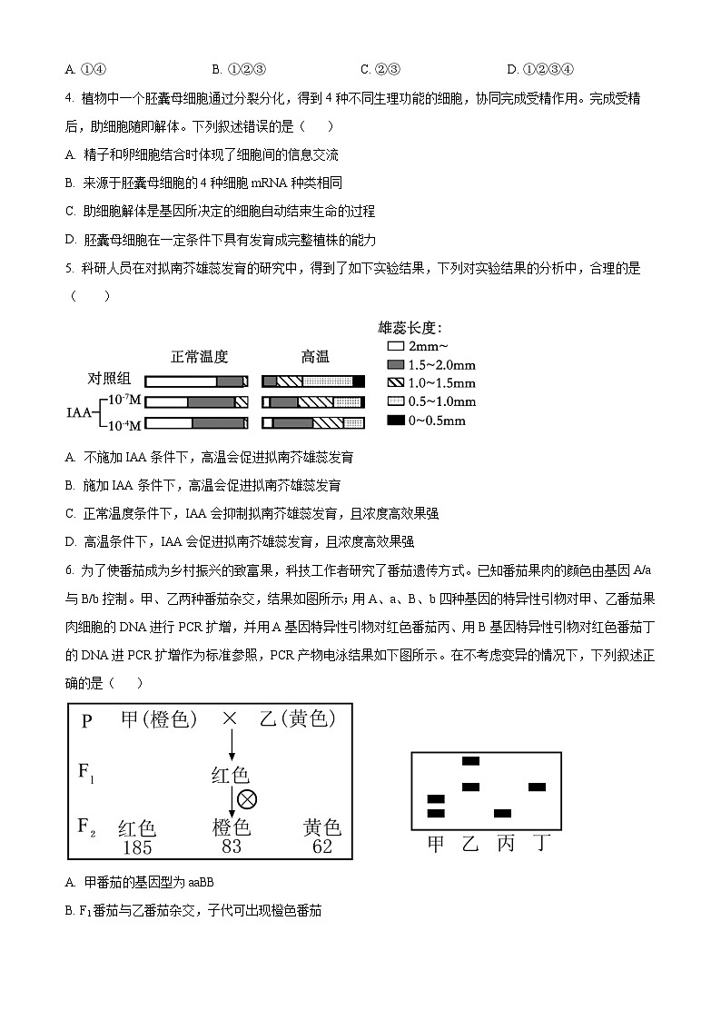 安徽省六安市第一中学2024届高三下学期质量检测（一）生物试卷（Word版附解析）02
