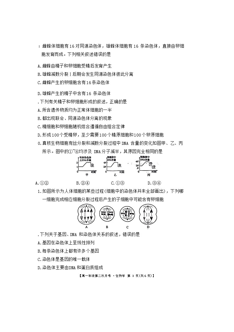 安徽省亳州市涡阳县蔚华中学2023-2024学年高一下学期第二次月考生物试题第3页