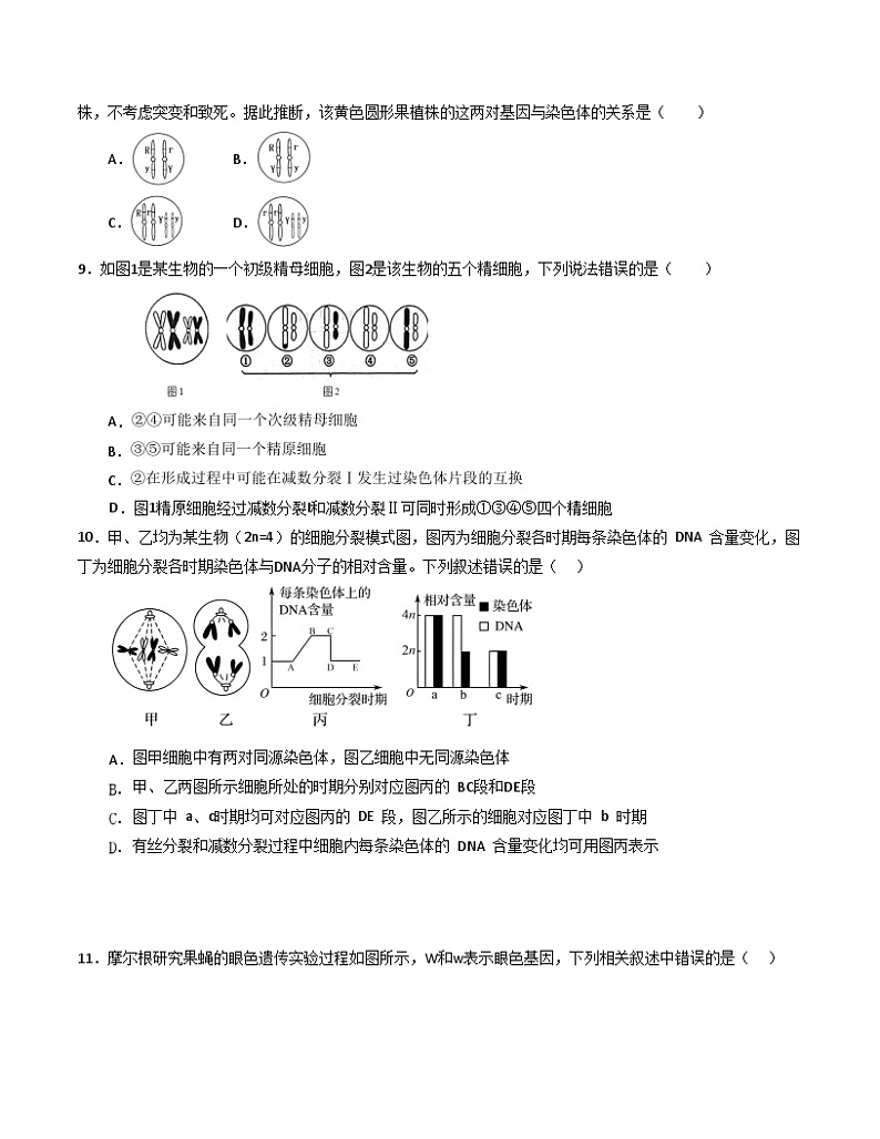  河南省信阳高级中学2023-2024学年高一下学期4月月考生物试卷第3页