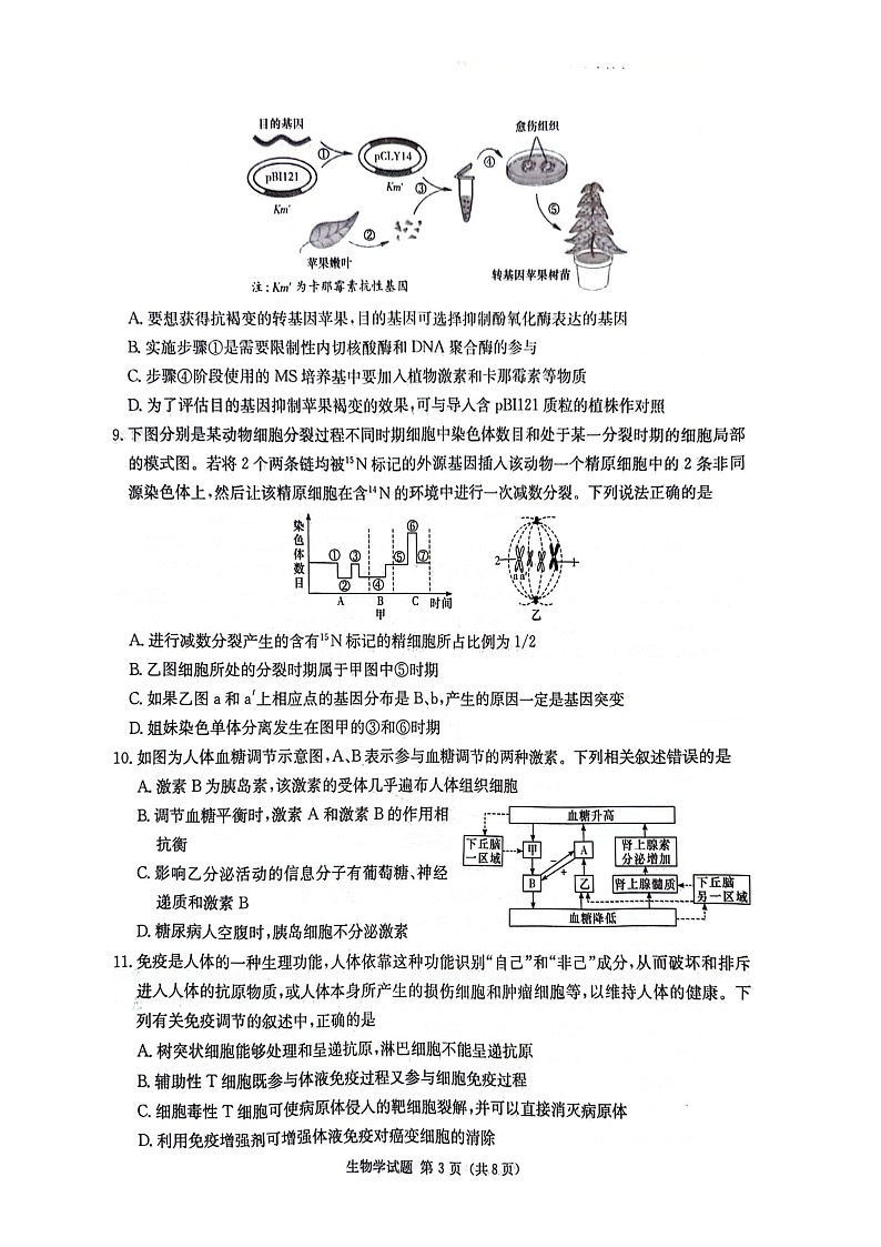 【湖南卷】湖南省炎德英才名校联考联合体2024年(届)高三下学期5月高考考前仿真联考(三)(5.20-5.21)               生物试题第3页