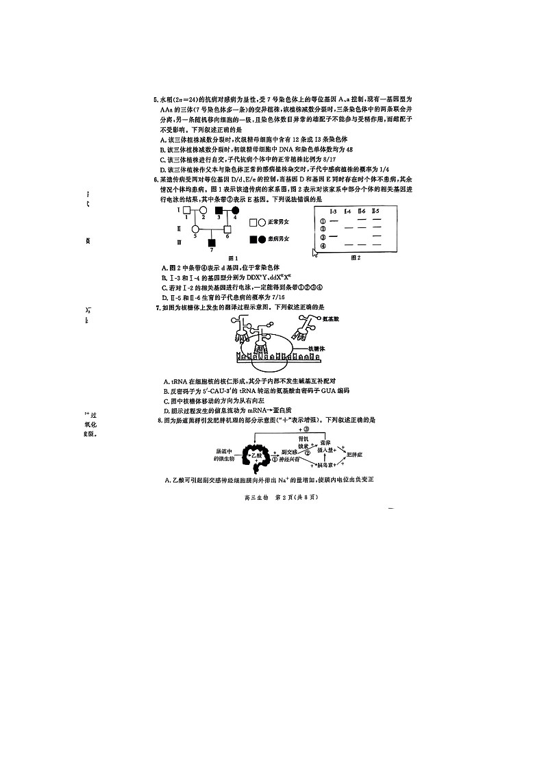 河北省2024届高三年级下学期大数据应用调研联合测评（Ⅷ）生物试题02