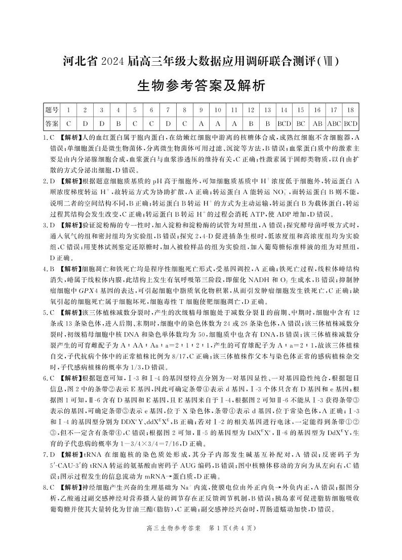 河北省2024届高三年级下学期大数据应用调研联合测评（Ⅷ）生物试题01