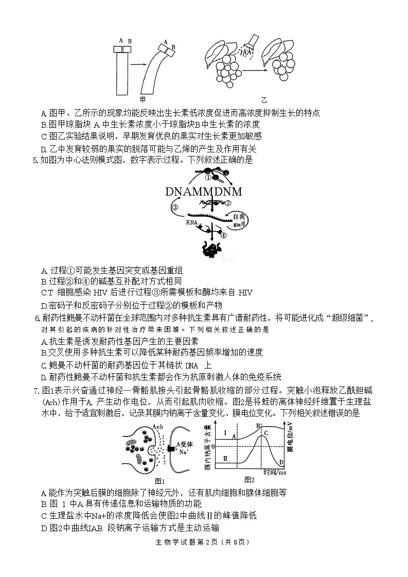 生物试题第2页