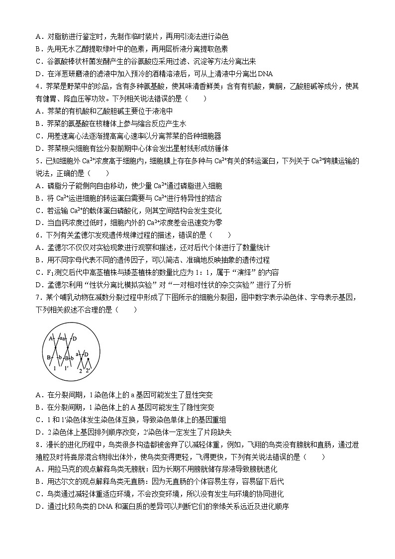 2024邯郸部分示范性高中高三下学期三模试题生物含解析第2页
