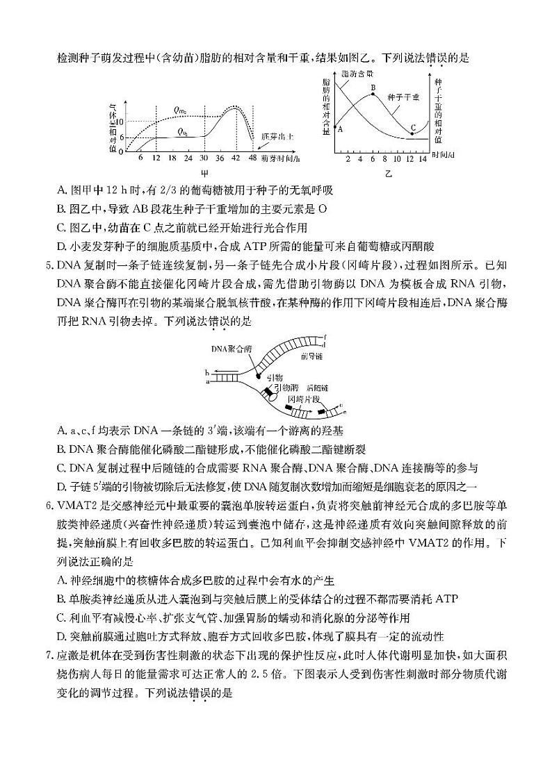 2024承德部分示范性高中高三下学期二模试题生物PDF版含解析02