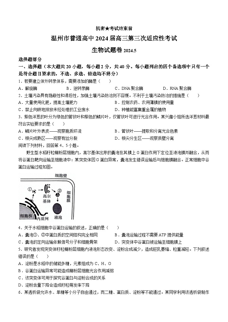 2024温州高三下学期三模生物试题含答案01