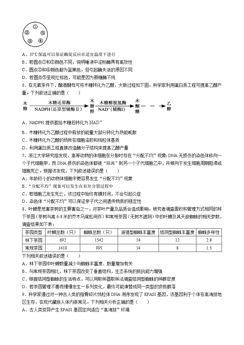 2024浙江省Z20联盟（名校新高考研究联盟）高三下学期第三次联考生物试题含答案02