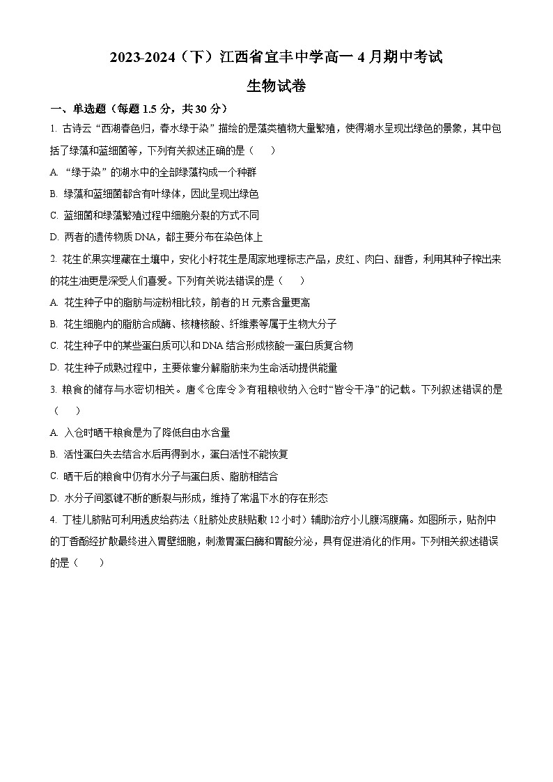 2024宜春宜丰中学高一下学期4月期中考试生物含解析01