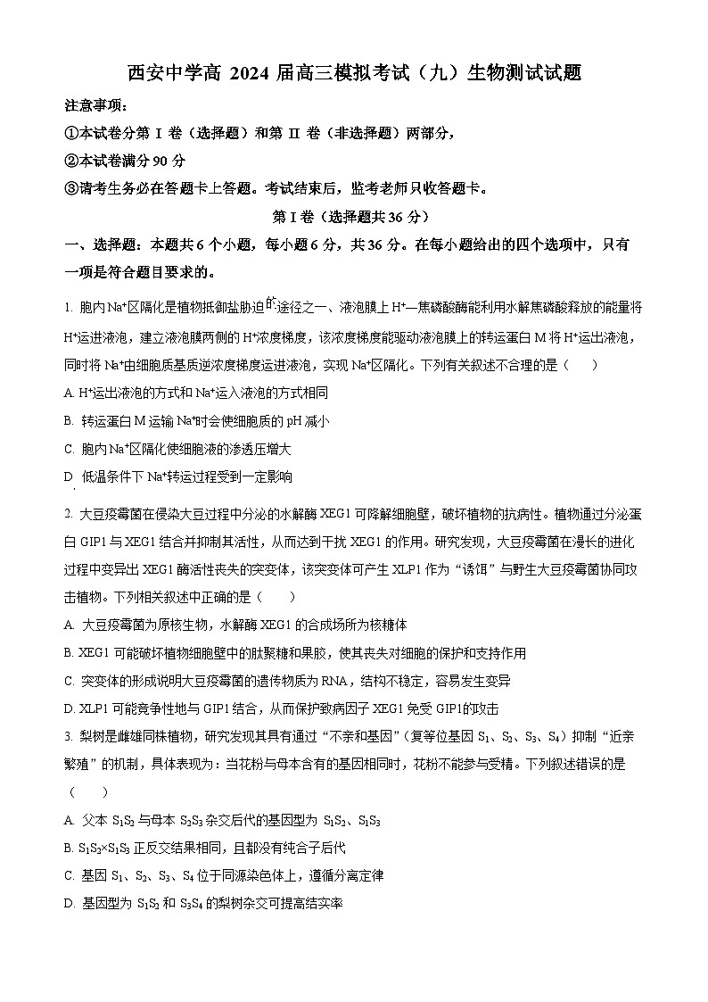2024届陕西省西安市新城区西安中学高三下学期第九次模拟考试生物试题（原卷版+解析版）01