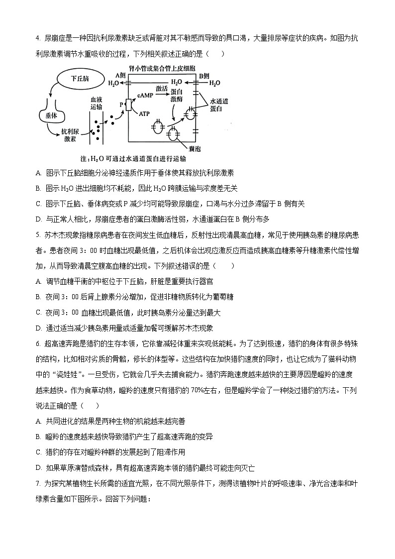 2024届陕西省西安市新城区西安中学高三下学期第九次模拟考试生物试题（原卷版+解析版）02