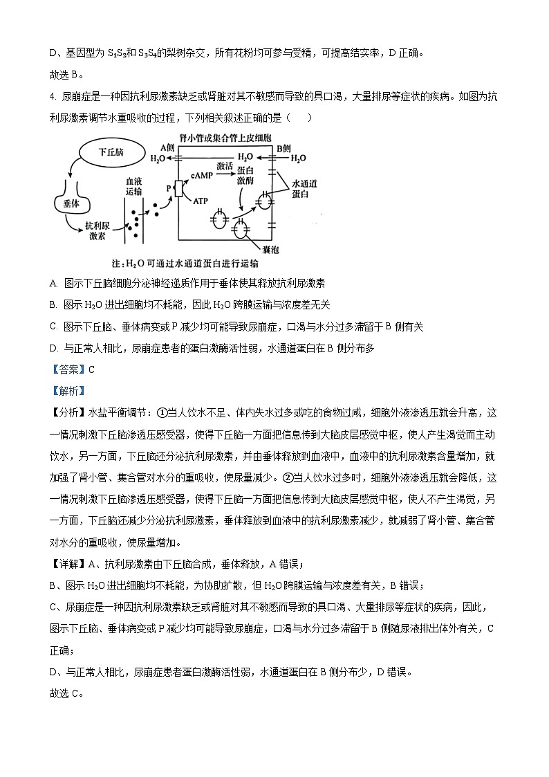 2024届陕西省西安市新城区西安中学高三下学期第九次模拟考试生物试题（原卷版+解析版）03