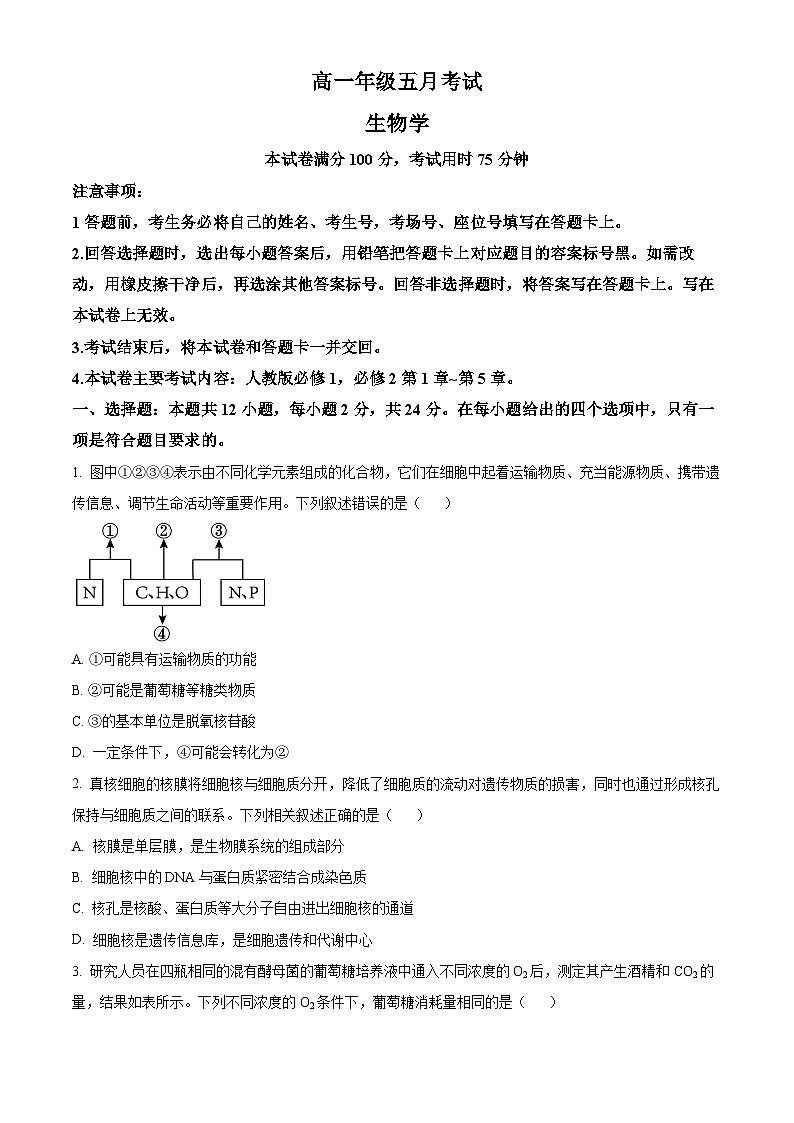 湖南省岳阳市岳阳县第一中学2023-2024学年高一下学期5月份联考生物试题（原卷版+解析版）01