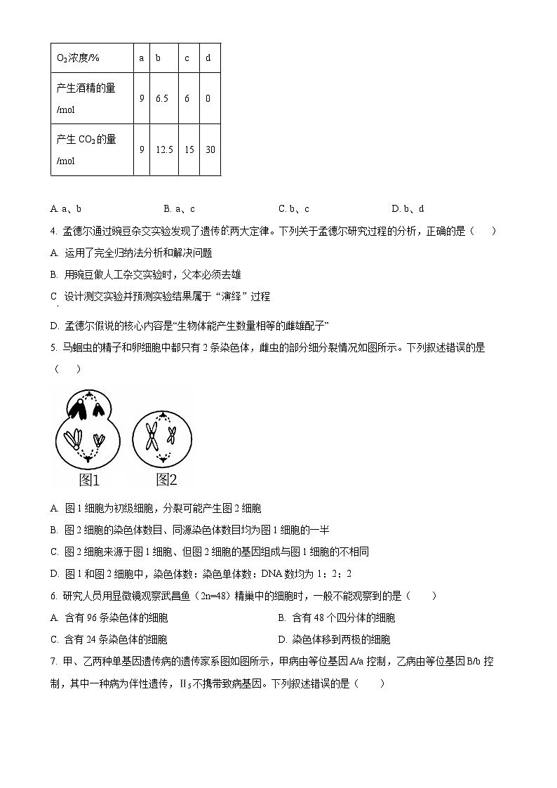 湖南省岳阳市岳阳县第一中学2023-2024学年高一下学期5月份联考生物试题（原卷版+解析版）02