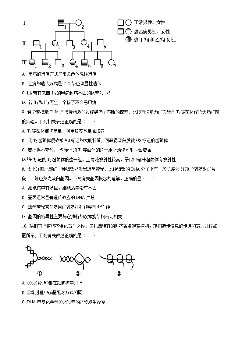 湖南省岳阳市岳阳县第一中学2023-2024学年高一下学期5月份联考生物试题（原卷版+解析版）03