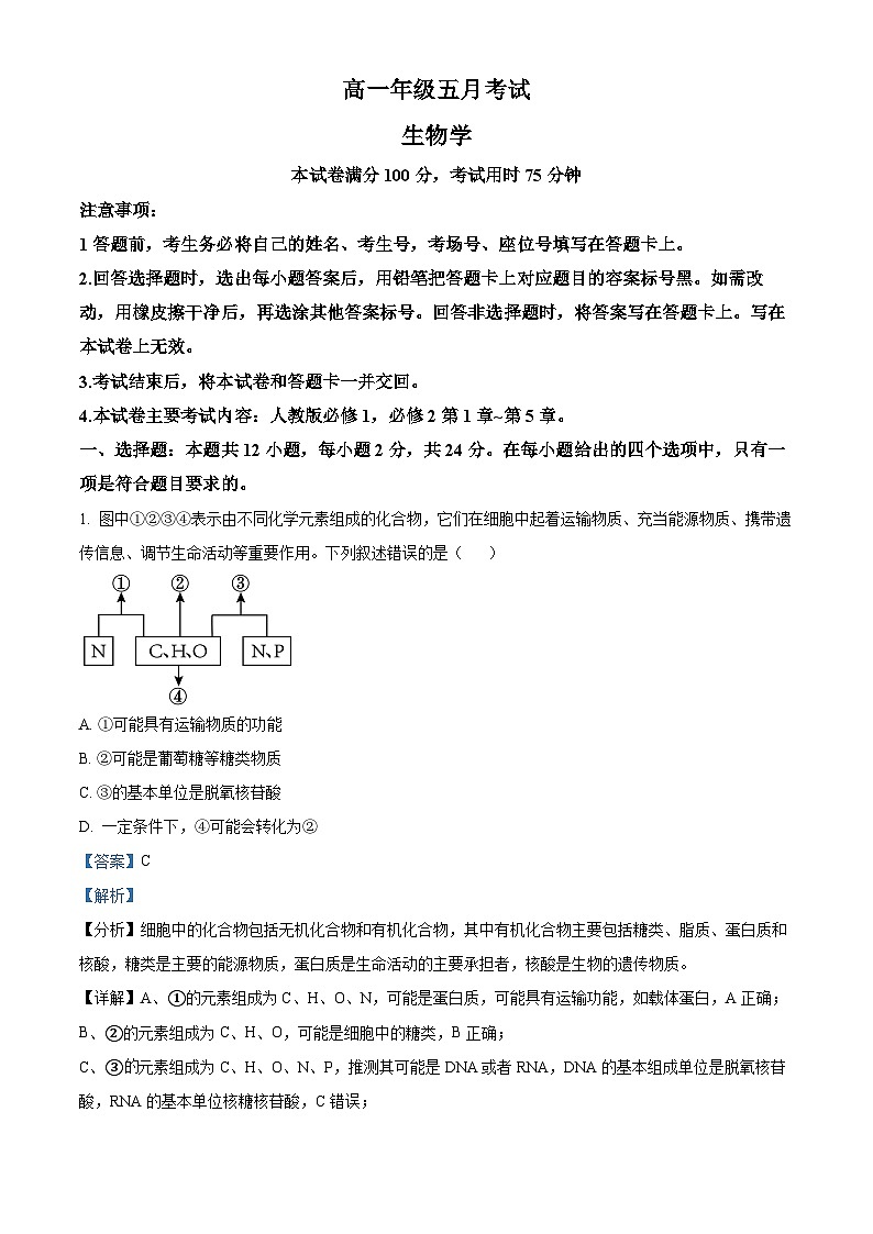湖南省岳阳市岳阳县第一中学2023-2024学年高一下学期5月份联考生物试题（原卷版+解析版）01