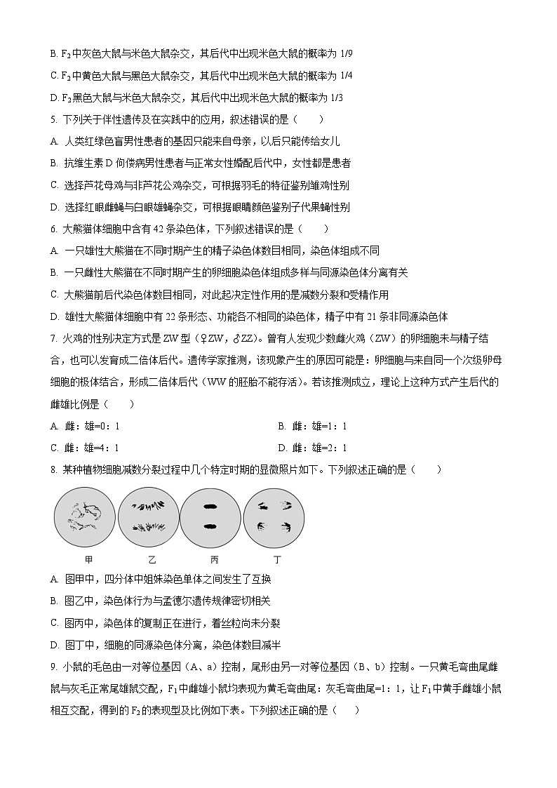 辽宁省大连市中山区第二十四中学2023-2024学年高一下学期期中考试生物试卷（原卷版+解析版）02