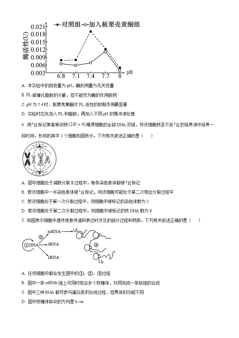 山东省2024年普通高中学业水平等级考试抢分卷（二）生物试题（原卷版）第2页