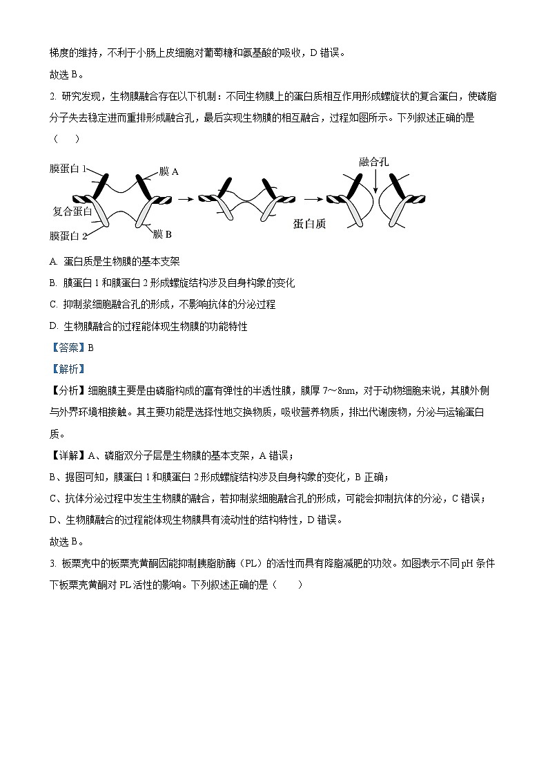 山东省2024年普通高中学业水平等级考试抢分卷（二）生物试题（解析版）第2页