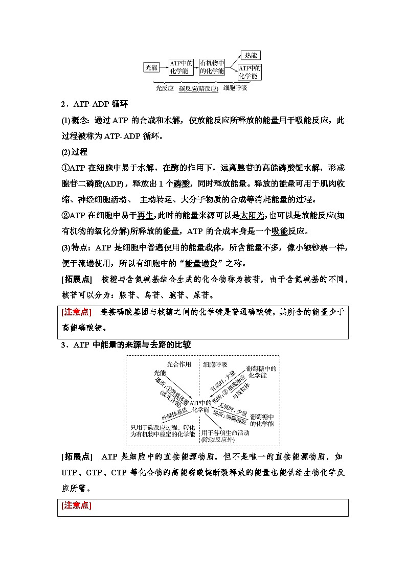 2025届高考 一轮复习  浙科版  ATP是细胞内的“能量通货” 学案（浙江版 ）02