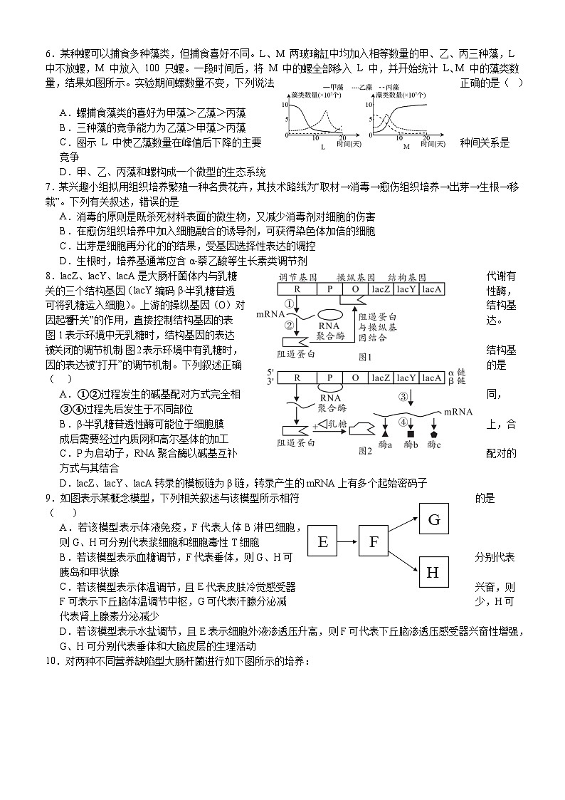 2024届浙江省宁波市奉化中学高考考前最后一卷生物试题02