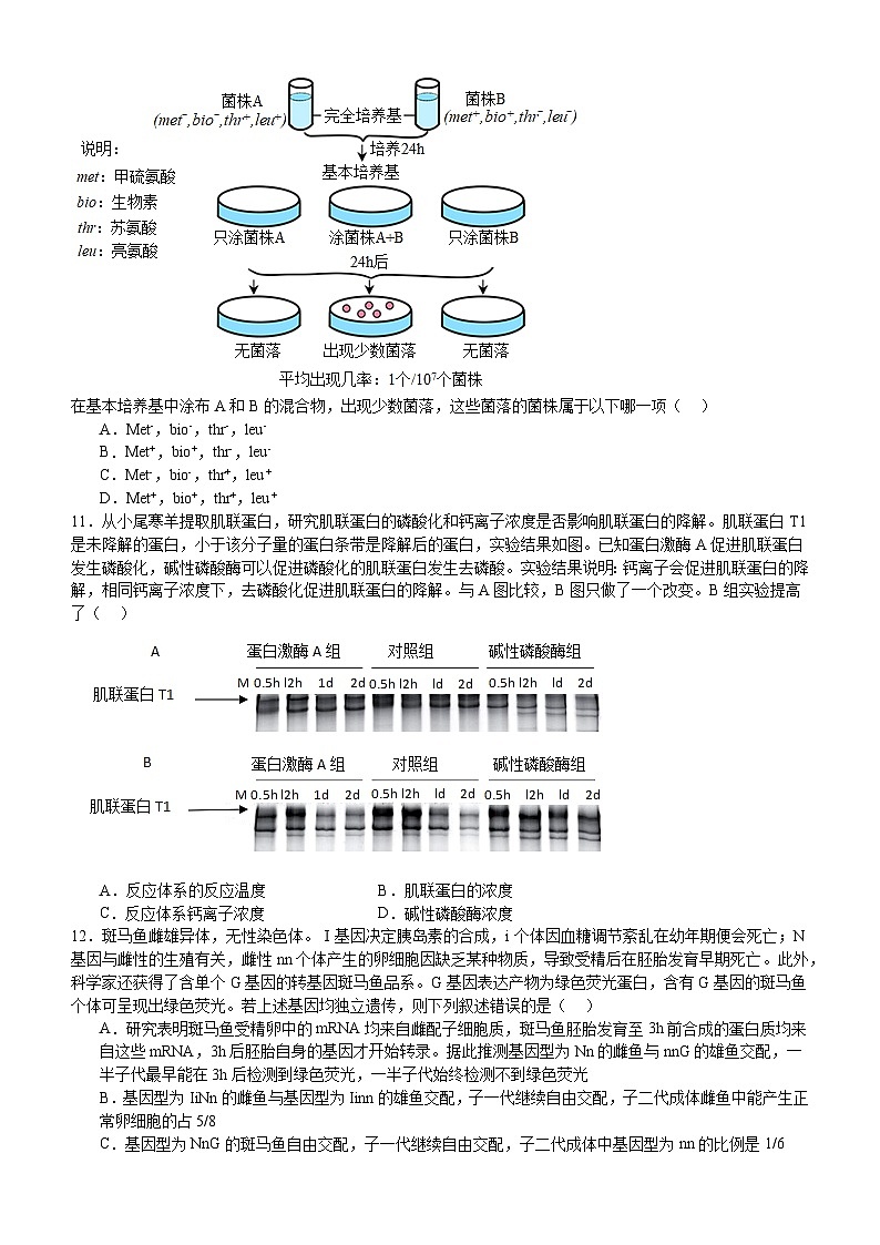 2024届浙江省宁波市奉化中学高考考前最后一卷生物试题03