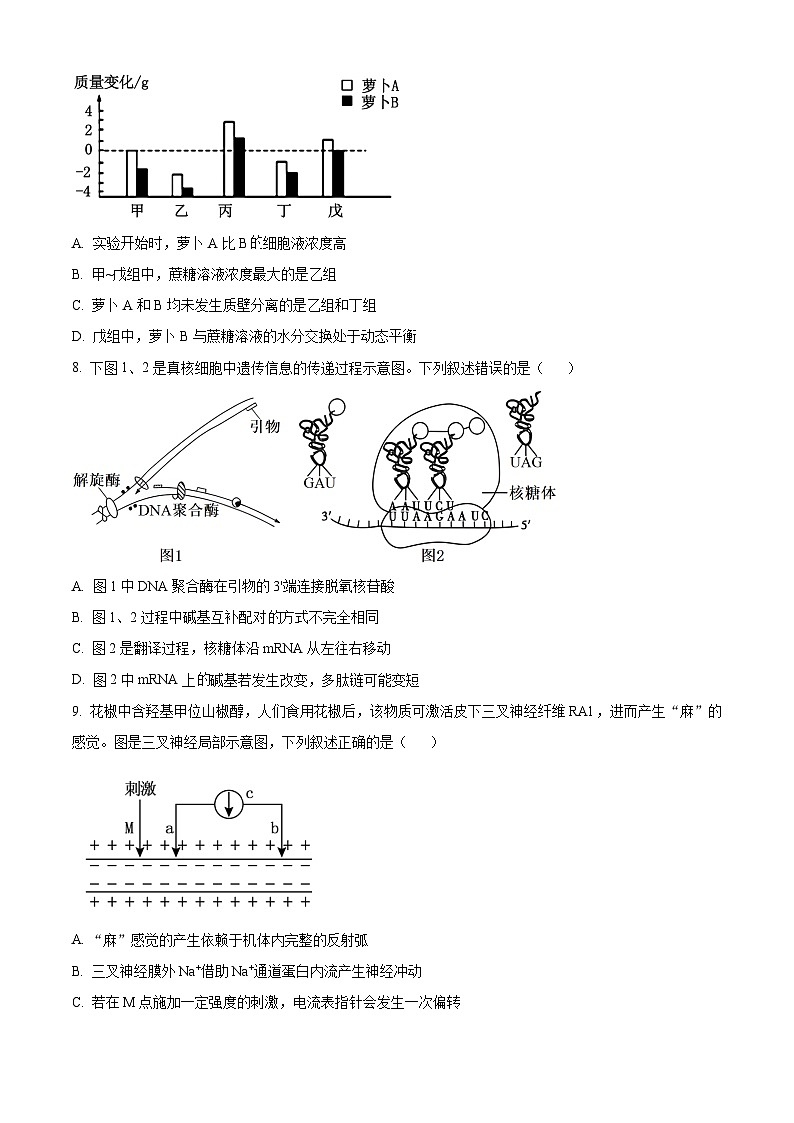 2024届辽宁省大连市高三二模生物试题（原卷版+解析版）03