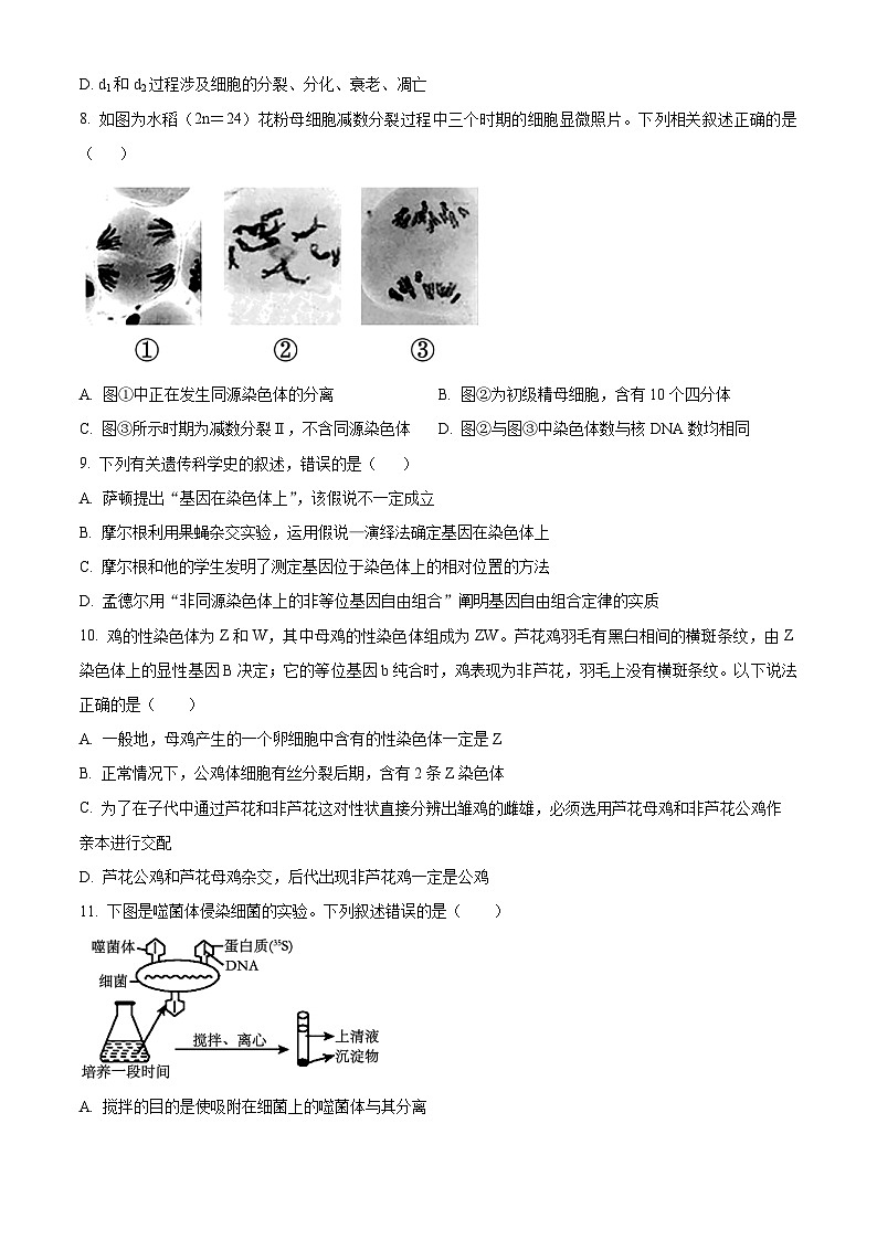 广东省潮州市松昌中学2023-2024学年高一下学期期中考试生物试题（原卷版+解析版）03