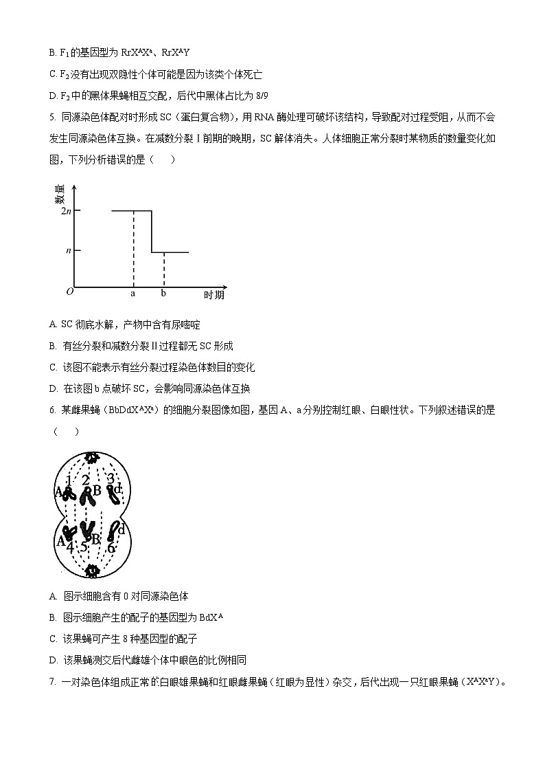 山东省潍坊市联考2023-2024学年高一下学期5月期中考试生物试题（原卷版+解析版）02