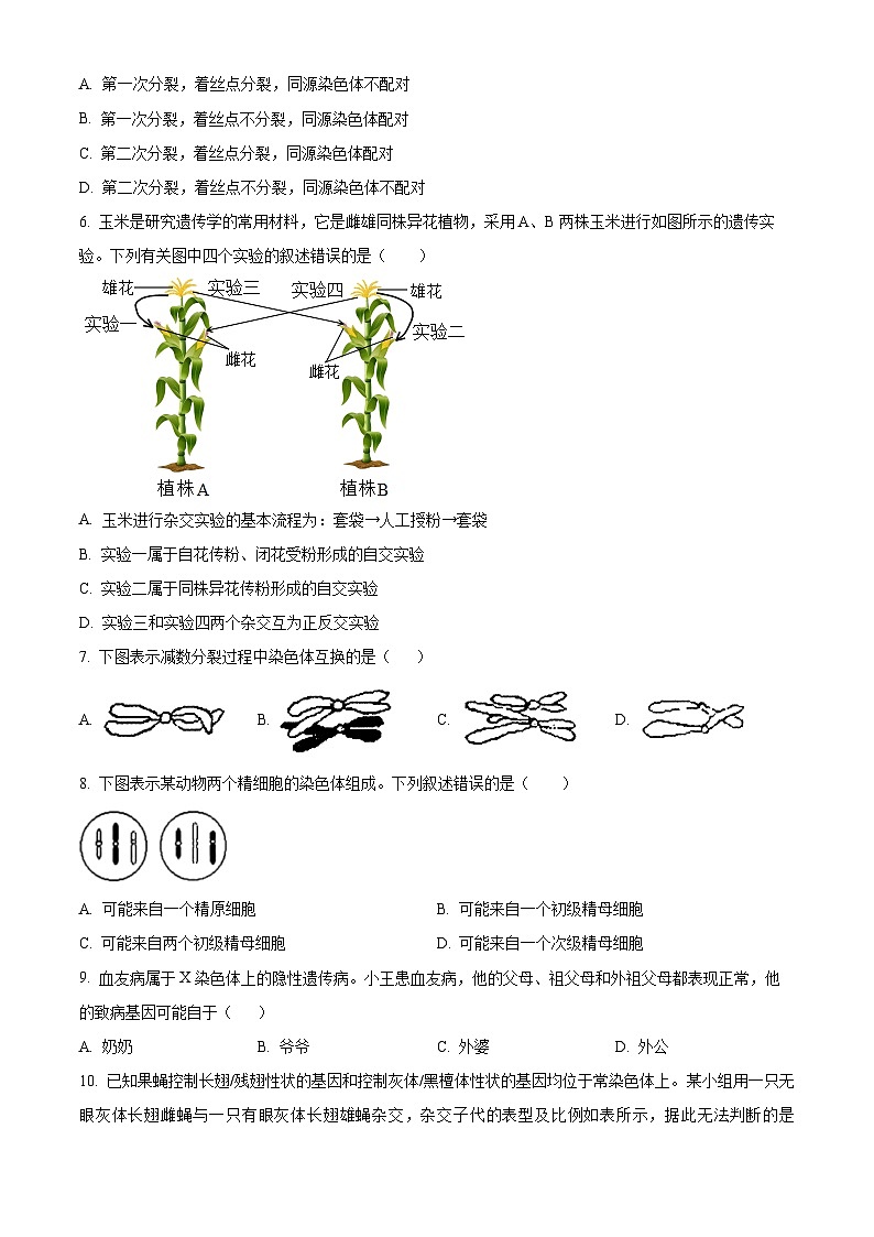 山西省阳泉市郊区阳泉市第一中学校2023-2024学年高一下学期5月期中生物试题（原卷版+解析版）02