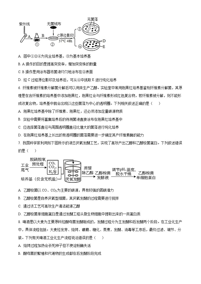四川省成都市树德中学2023-2024学年高二下学期期中考试生物试题（原卷版）第2页