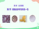 【核心素养】人教版高中生物必修一1.2《细胞的多样性和统一性》课件＋课时练习＋教案（含教学反思）
