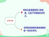 【核心素养】人教版高中生物必修一1.2《细胞的多样性和统一性》课件＋课时练习＋教案（含教学反思）