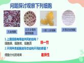 【核心素养】人教版高中生物必修一1.2《细胞的多样性和统一性》课件＋课时练习＋教案（含教学反思）