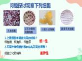 【核心素养】人教版高中生物必修一1.2《细胞的多样性和统一性》课件＋课时练习＋教案（含教学反思）