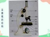【核心素养】人教版高中生物必修一1.2《细胞的多样性和统一性》课件＋课时练习＋教案（含教学反思）