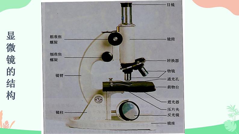 【核心素养】人教版高中生物必修一1.2《细胞的多样性和统一性》课件＋课时练习＋教案（含教学反思）04